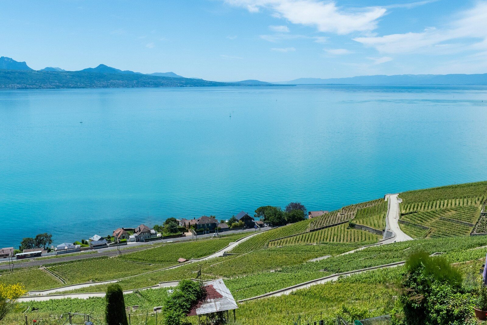 Horizon et rives du lac Léman
