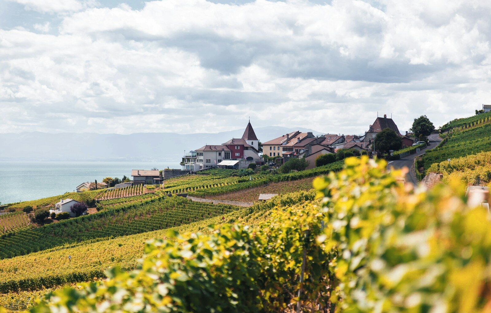 Vignobles du Lavaux et lac Léman